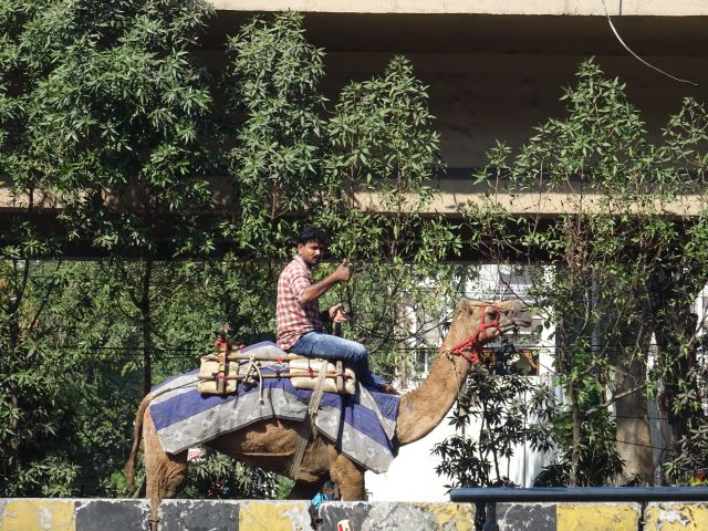 Hyderabad